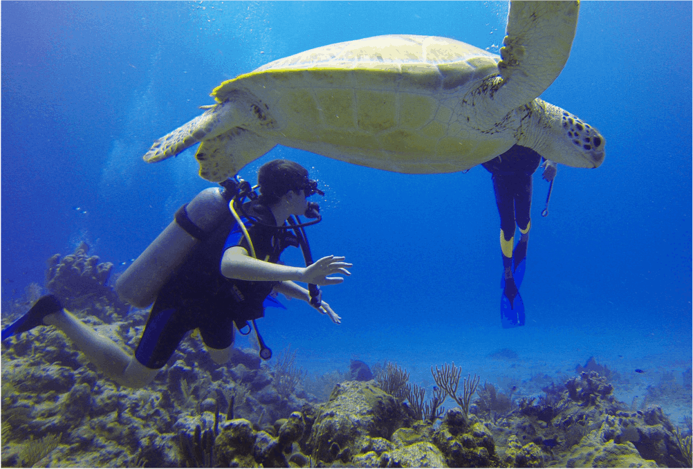 Underwater diving